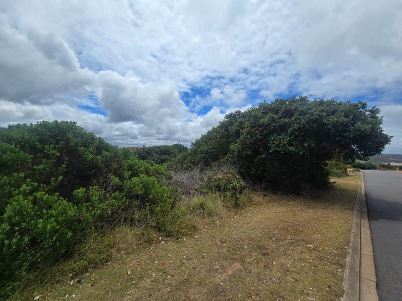 0 Bedroom Property for Sale in Stilbaai Wes Western Cape